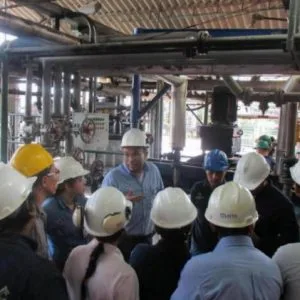 Audio Visita Guiada Planta