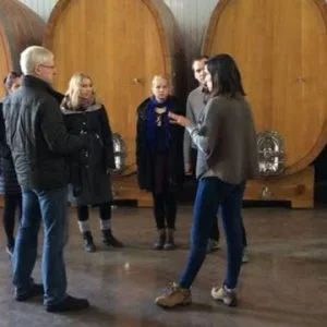 Audio Visita Guiada Viña